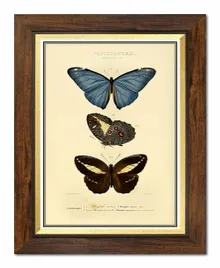 obraz-na-plotnie-motyle-37x47cm