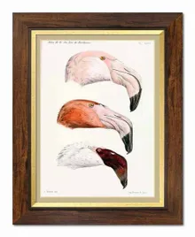 obraz-na-plotnie-ptaki-37x47cm
