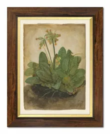 obraz-na-plotnie-rosliny-37x47cm