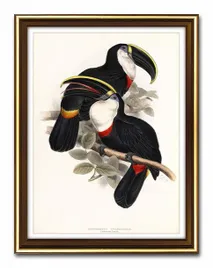 obraz-na-plotnie-papugi-33x43cm