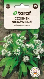 czosnek-niedzwiedzi-nasiona-toraf-025g
