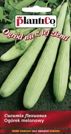 ogorek-jasnozielony-melonowy-fegouz-dlugie-owoce-nasiona-plantico-3g
