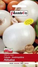 cebula-alibaba-biala-lagodna-nasiona-cebuli-plantico