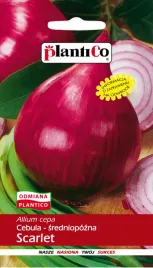 cebula-czerwona-scarlet-srednio-pozna-odmiana-nasiona-cebuli-plantico
