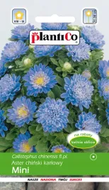 aster-chinski-karlowy-mini-niebieski-jednoroczny-nasiona-plantico-1g