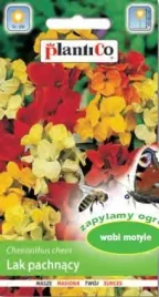 lak-pospolity-pachnacy-letni-mix-kolorow-nasiona-plantico-1g