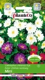 nasiona-aster-chinski-karlowy-mix-kolorow-mini-kwiaty-plantico-1g