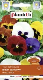 nasiona-bratka-ogrodowego-mix-kolorow-dwuletni-plantico-05g