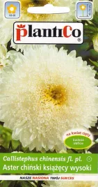 aster-chinski-ksiazecy-wysoki-bialy-nasiona-plantico-1g