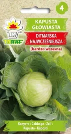 nasiona-kapusty-glowiastej-ditmarskiej-bardzo-wczesna-odmiana-toraf-2g