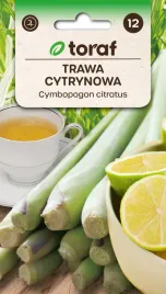 nasiona-trawy-cytrynowej-aromatycznej-wieloletniej-toraf-01g