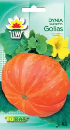 dynia-olbrzymia-golias-do-70kg-nasiona-dyni-toraf