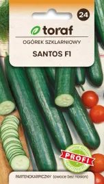 ogorek-szklarniowy-santos-f1-nasiona-ogorka-srednio-wczesny-toraf-1g
