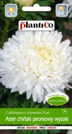 aster-chinski-peoniowy-wysoki-bialy-jednoroczny-nasiona-plantico-1g