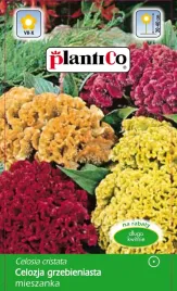 nasiona-celozji-grzebieniastej-wielokolorowe-kwiaty-mix-plantico-0-3g