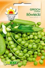 nasiona-grochu-ilowieckiego-zielony-groszek-wczesny-toraf-50g