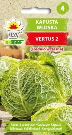 nasiona-kapusty-wloskiej-vertus-2-odmiana-srednio-wczesna-toraf-2g