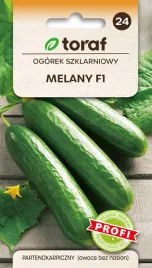 ogorek-szklarniowy-melany-f1-nasiona-ogorka-wczesny-plenny-toraf-1g