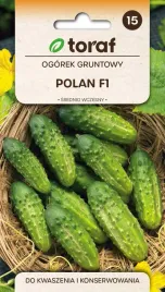 nasiona-ogorka-gruntowego-polan-f1-odmiana-srednio-wczesna-toraf-5g