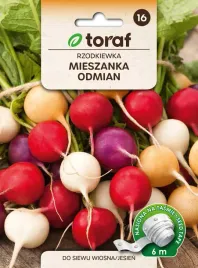 nasiona-rzodkiewki-rozne-odmiany-kolory-na-tasmie-6m-caloroczne-toraf