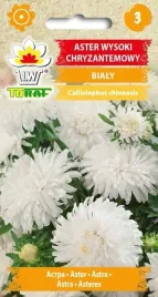 aster-wysoki-chryzantemowy-bialy-nasiona-kwiatow-astra-bialego-toraf-1g