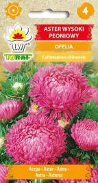 nasiona-kwiatow-aster-peoniowy-wysoki-ofelia-kolor-rozowy-toraf-1g