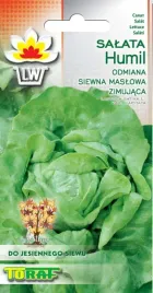 salata-humil-maslowa-zimowa-odmiana-bardzo-wczesna-nasiona-toraf-1g