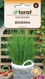 szczypiorek-bohemia-wieloletni-odrastajacy-caloroczna-uprawa-nasiona-toraf