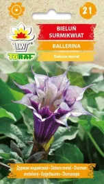 nasiona-kwiatu-bielunia-surmikwiat-ballerina-fioletowo-bialego-toraf-02g