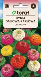 nasiona-kwiatow-cynii-daliowej-karlowej-liliput-mix-kolorow-toraf-05g
