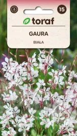 nasiona-kwiaty-gaury-bialej-idealne-na-skalniaki-i-rabaty-toraf-05g
