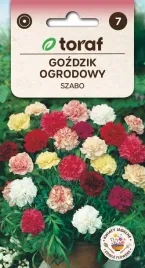nasiona-kwiaty-gozdzika-ogrodowego-mix-kolorow-jednoroczny-toraf-05g