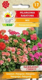 pelargonia-rabatowa-mix-nasiona-kwiaty-pelargonii-rozne-kolory-01g-toraf