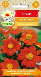 titonia-ogrodowa-pomaranczowa-nasiona-kwiaty-titonii-toraf-1g