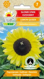 nasiona-kwiaty-slonecznika-ozdobnego-lemon-queen-miododajny-toraf-2g