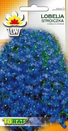 lobelia-stroiczka-niebieska-nasiona-toraf-0-1g