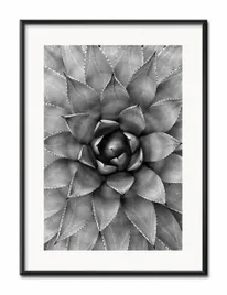 obraz-boho-31x41cm