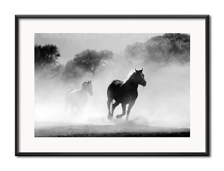 obraz-konie-31x41cm