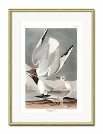 obraz-mewy-31x41cm