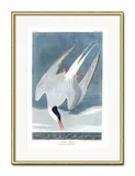 obraz-mewy-31x41cm