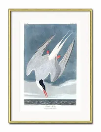 obraz-mewy-31x41cm