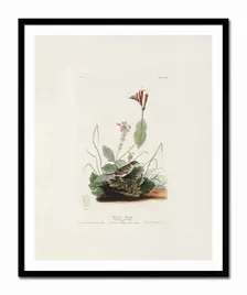 obraz-na-plotnie-kwiaty-43x53cm