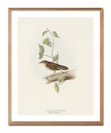 obraz-na-plotnie-ptak-43x53cm