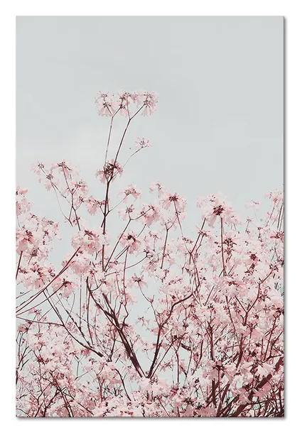 obraz-na-plotnie-kwitnacy-sad-60x90cm