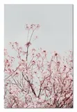 obraz-na-plotnie-kwitnacy-sad-60x90cm