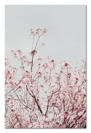 obraz-na-plotnie-kwitnacy-sad-60x90cm