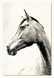 obraz-na-plotnie-60x90cm-kon