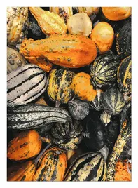 obraz-na-plotnie-boho-50x70cm