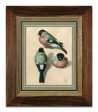 obraz-na-plotnie-ptaki-31x36cm-albrecht-durer-three-studies-of-a-bullfinch