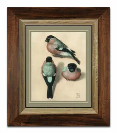 obraz-na-plotnie-ptaki-31x36cm-albrecht-durer-three-studies-of-a-bullfinch